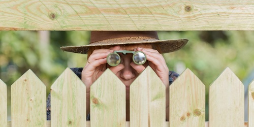 6 façons d'attirer les voisins curieux - ou comment couvrir la fenêtre des voisins