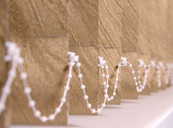 standard.jpg (80 KB)