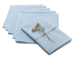 Lot de 6 serviettes 42x42cm Loneta 133-35