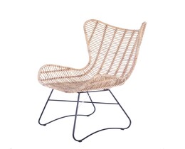 Rudi du fauteuil