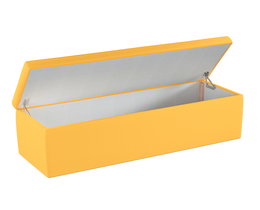 Boîte de rangement rembourrée