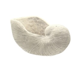 Coquillages Doniczka