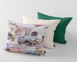 Lot de 3 housses de coussin Freestyle 02