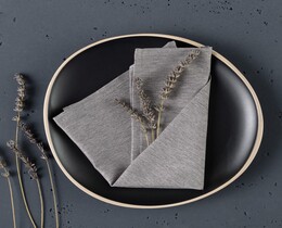 Lot de 6 serviettes 42x42cm 174-14