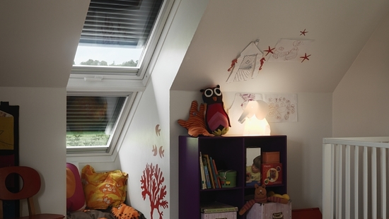 
										Volets roulants VELUX
																						