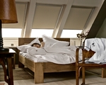 VELUX DFD blackout pleated blinds