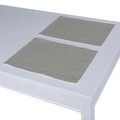 Set of 2 Placemats