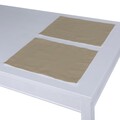 Set of 2 Placemats