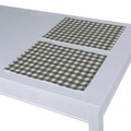 Set of 2 Placemats