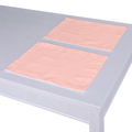 Set of 2 Placemats